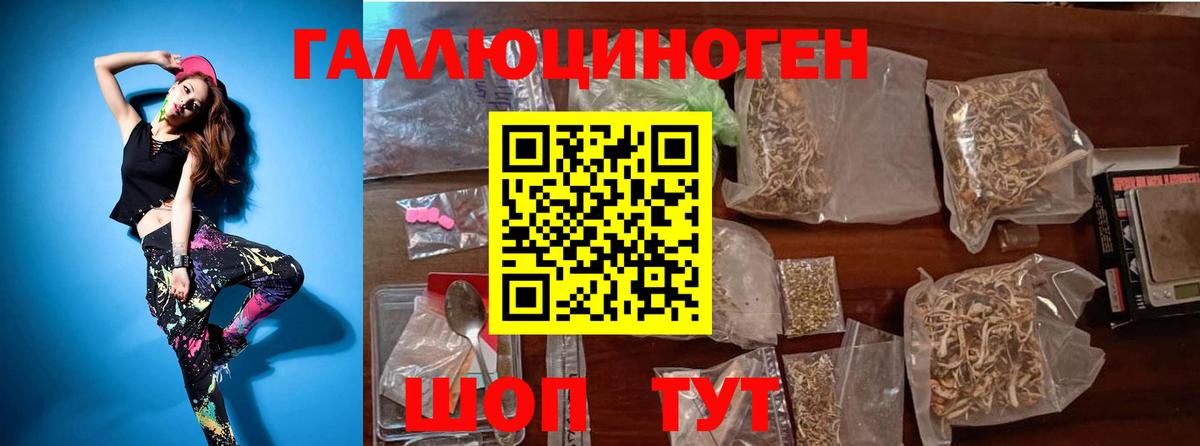 Коряжма  Псилоцибиновые грибы Magic Shrooms  Вход с VPN 